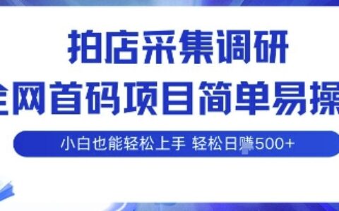 拍店采集调研，全网首码项目，简单易操作， 小白也能轻松上手，多账号操作，轻松日入5张