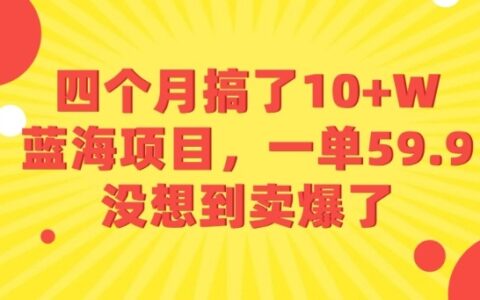 四个月搞了10+W的蓝海项目，一单59.9米，没想到卖爆了