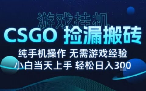 8月最新游戏搬砖，CSGO纯挂G，不需要玩游戏，实现真挂G，月入1W+