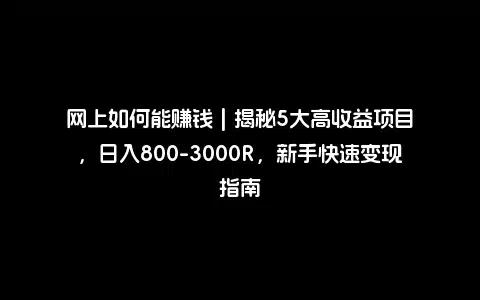 网上如何能赚钱 | 揭秘5大高收益项目，日入800-3000R，新手快速变现指南