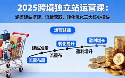 2025跨境独立站运营课：涵盖建站搭建、流量获取、转化优化三大核心模块