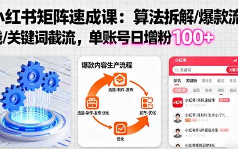 小红书矩阵起号速成课：算法拆解/爆款流水线/关键词截流 单账号日增粉100+