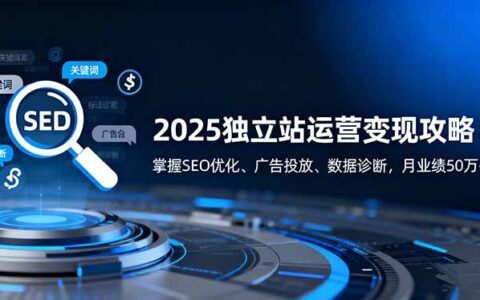 2025独立站运营变现攻略：掌握SEO优化、广告投放、数据诊断，月业绩50万+