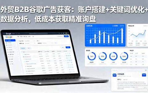 外贸B2B 谷歌广告获客：账户搭建+关键词优化+数据分析，低成本获取精准...