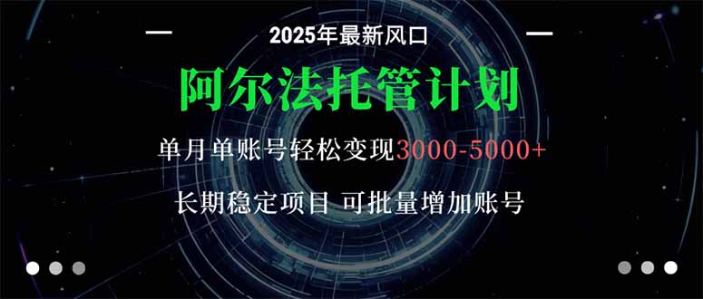 阿尔法托管计划 单账号月入3000-5000，长期稳定项目，新手小白轻松上手