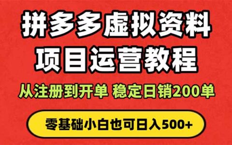 拼多多开店运营课程： 蓝海变现玩法，轻松实现睡后收入 零基础小白也可...