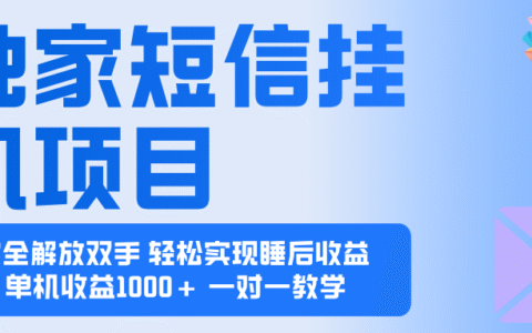 2025全新电脑挂G项目 操作简单，单机当天收益1000+，收益无上限，可...
