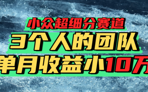 小众超细分赛道，一年百万利润的盘子！