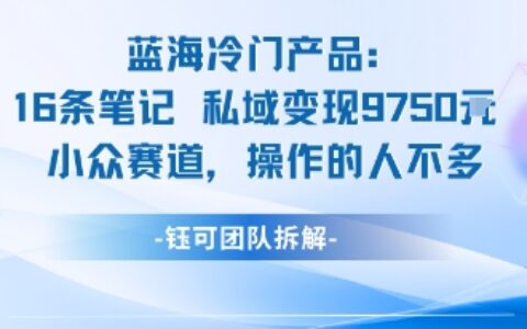 蓝海项目：16条笔记私域变现9750米小众赛道操作的人不多