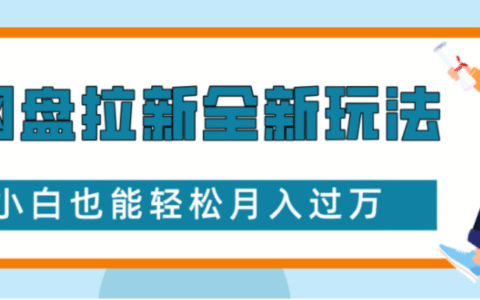 网盘拉新全新玩法小白也能轻松月入过万