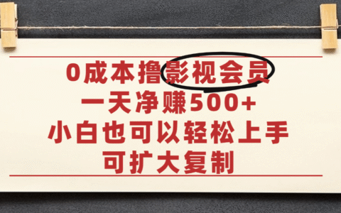 亲测，0成本可批量操作，靠卖影视会员实测月入30000+