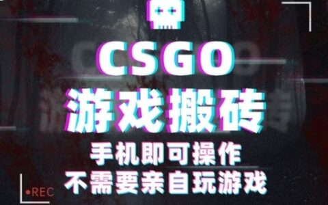 CSGO游戏挂G捡漏，单日扫货5张+，年底小高峰上车可吃肉，手机即可操作，副业副业创业网创