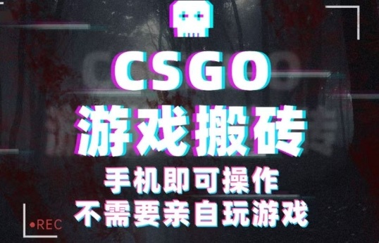 CSGO游戏挂G捡漏，单日扫货5张+，年底小高峰上车可吃肉，手机即可操作，副业副业创业网创