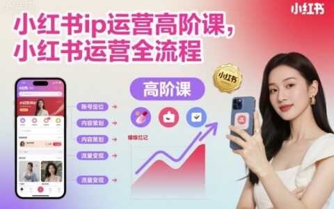 小红书ip运营高阶课，小红书运营全流程