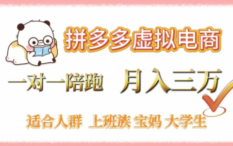 拼多多虚拟电商，0囤货，轻资产，无需发货，一对一陪跑，月入3万
