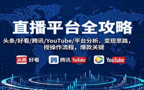 直播平台全攻略：头条/好看/腾讯/YouTube/平台分析、变现思路，授操作流程，爆款关键
