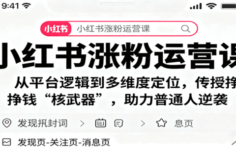 小红书涨粉运营课：从平台逻辑到多维度定位，传授挣钱 核武器，助力普通人逆袭