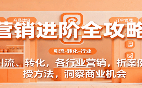 营销进阶全攻略，引流、转化，各行业营销，析案例，授方法，洞察商业机会