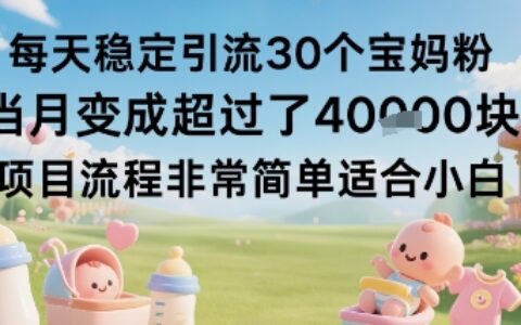 每天稳定引流30个宝妈粉当月变成超过了1W+项目流程非常简单适合小白