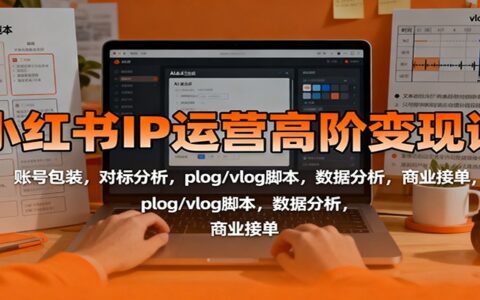 小红书IP运营高阶变现课：账号包装，对标分析，plog/vlog脚本，数据分析，商业接单