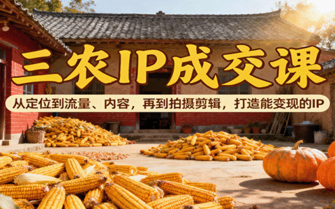 三农IP成交课：从定位到流量、内容，再到拍摄剪辑，打造能变现的IP