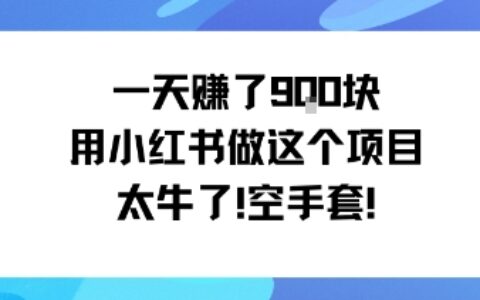 一天挣了9张用小红书做这个项目太牛了，空手套