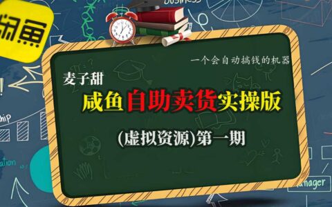 麦子甜咸鱼自助卖货实操版（虚拟资源）一个会自动搞钱的机器