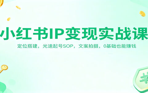 小红书IP变现实战课：定位搭建，高效起号策略，文案拍摄，新手也能变现