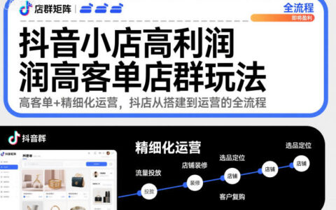 抖音小店店群高效策略：精细化运营实战，从搭建到变现全流程指南