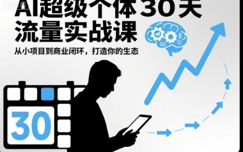 AI项目30天流量实战课：从小项目到商业闭环，打造你的变现策略