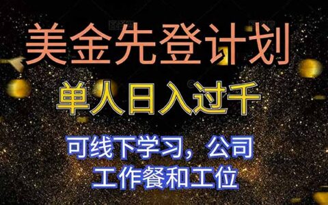 美金先登计划：盈利方法实战指南，可线下学习，公司提供支持