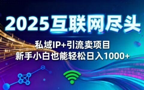 2025网创尽头王炸项目！私域 IP + 精准引流，新手小白在家被动收入日入 1000+