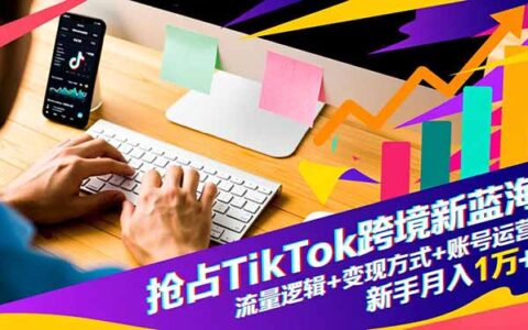 TikTok跨境新蓝海实战指南：流量逻辑+变现方式+账号运营，新手变现策略