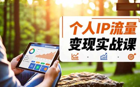 个人IP流量变现实战指南：多平台引流与稳定收入策略