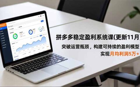 拼多多盈利系统课(更新11月)：实操策略突破瓶颈，构建可持续变现模型