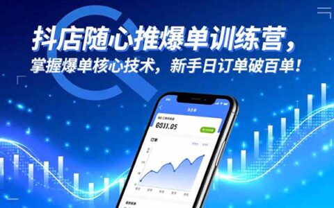 抖店随心推实战课程：掌握爆单核心方法，新手订单提升指南！