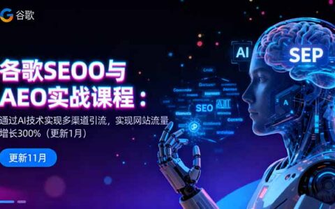 谷歌SEO与AEO实战课程：通过AI技术实现多渠道引流，实现网站流量增长300%