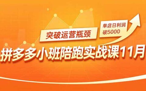 拼多多小班陪跑实战课11月：付费矩阵、活动引流策略实测，突破瓶颈提升利润