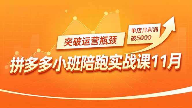 拼多多小班陪跑实战课11月：付费矩阵、活动引流策略实测，突破瓶颈提升利润