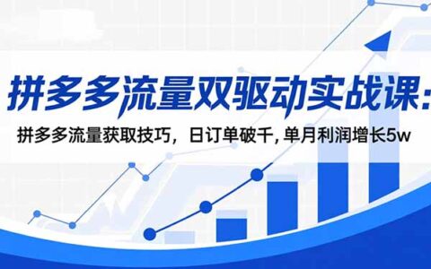 2025拼多多双流量实战课：实测流量获取策略，利润增长思路拆解