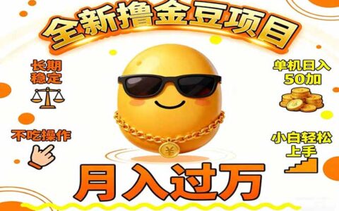 2025全新赚钱项目实操指南 长期稳定被动收入策略 小白轻松上手变现攻略