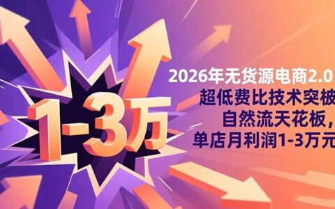 2026年无货源电商2.0：超低费比技术突破自然流天花板，单店月利润1-3万R