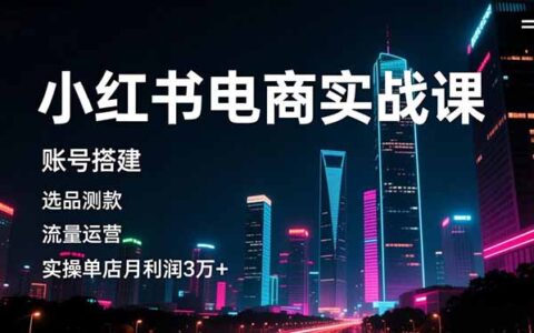 小红书电商实战课：账号搭建、选品测款与流量运营的变现实操策略
