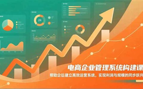 电商企业管理系统构建实战课：高效运营策略提升利润与规模