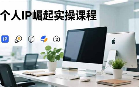个人IP崛起实操课程：IP思维塑造+赛道精准调研+账号变现搭建+内容创作