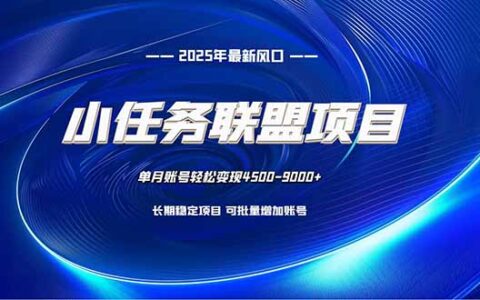 小任务联盟项目：实测每天仅需10分钟电脑操作，被动收入策略分享