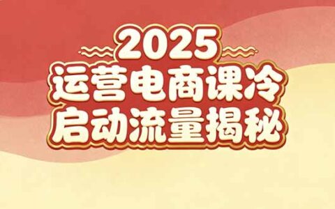 20252025小红书电商实战指南：新手冷启动与流量策略