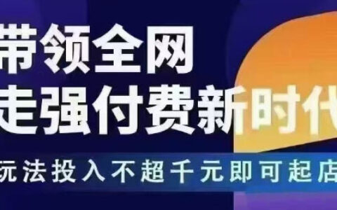 王校长的拼多多活动流实战策略：投入不超千元起店指南