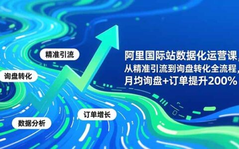 阿里国际站数据化运营实战课-11月：精准引流到询盘转化全流程优化策略