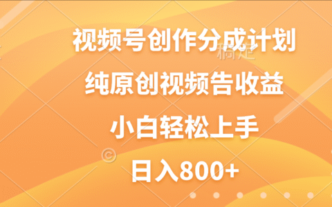 视频号创作分成计划实战攻略：纯原创视频变现方法，新手小白轻松上手指南